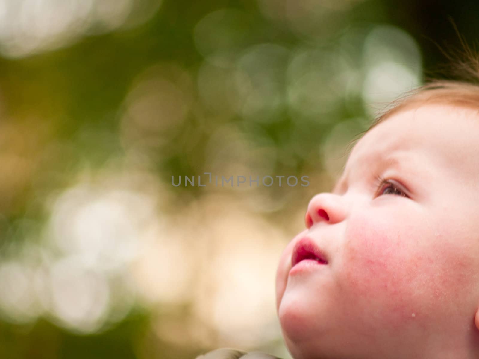 Sweet baby boy looking up at copyspace