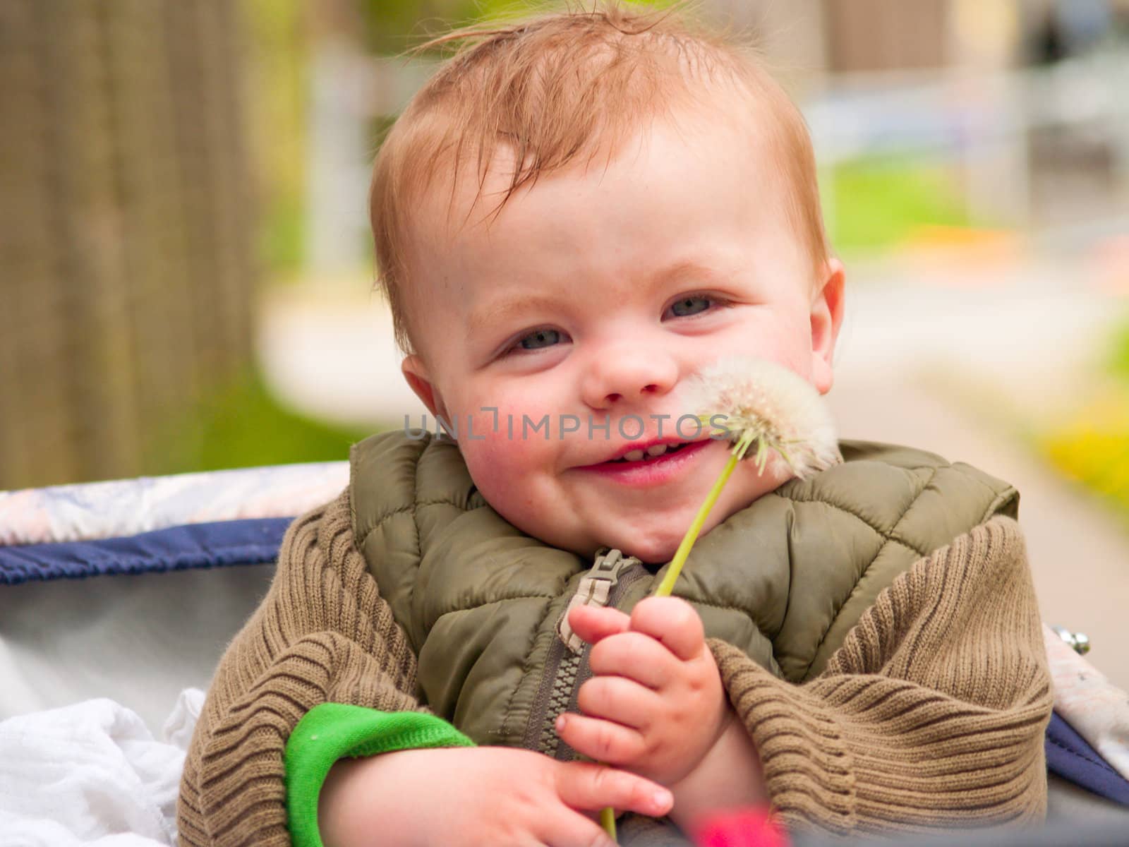 Cute baby boy holding flower and smiling