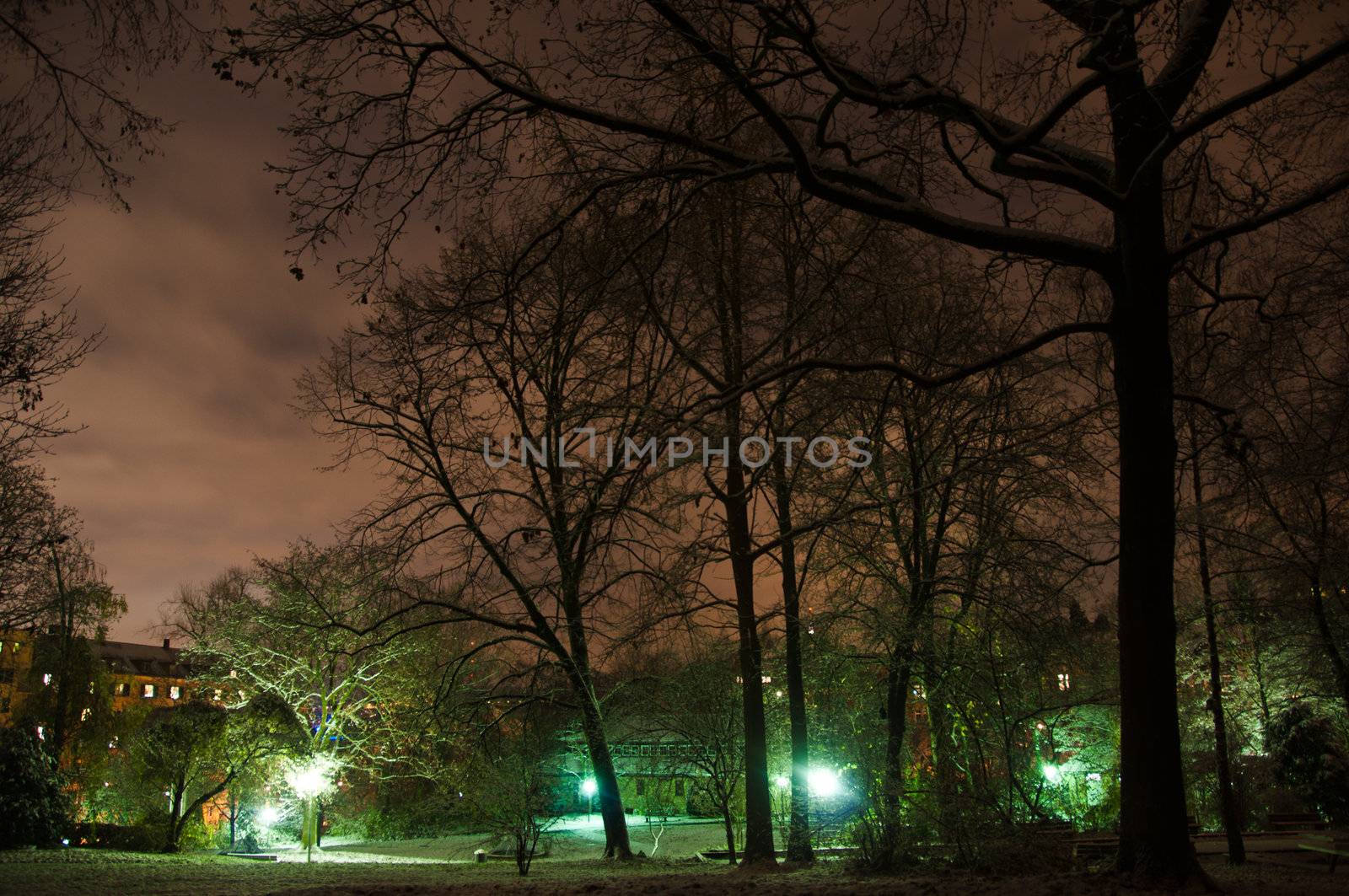 Snowy winter park in the dark with trees, buildings and lamps