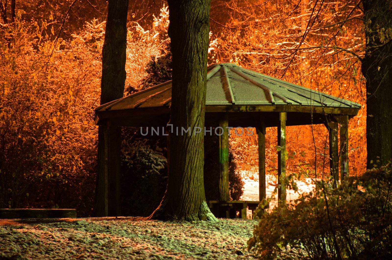 Snowy winter park in the dark with pavillion, trees, buildings and lamps