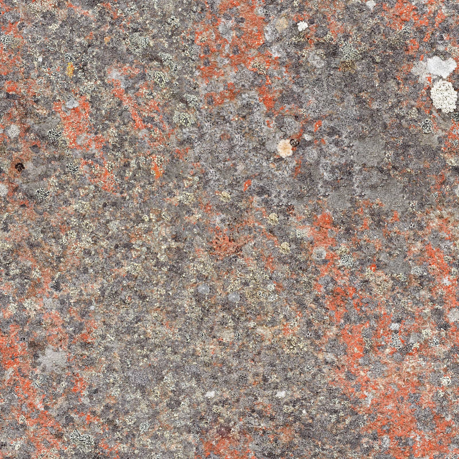 Seamless texture - the surface rock with lichen