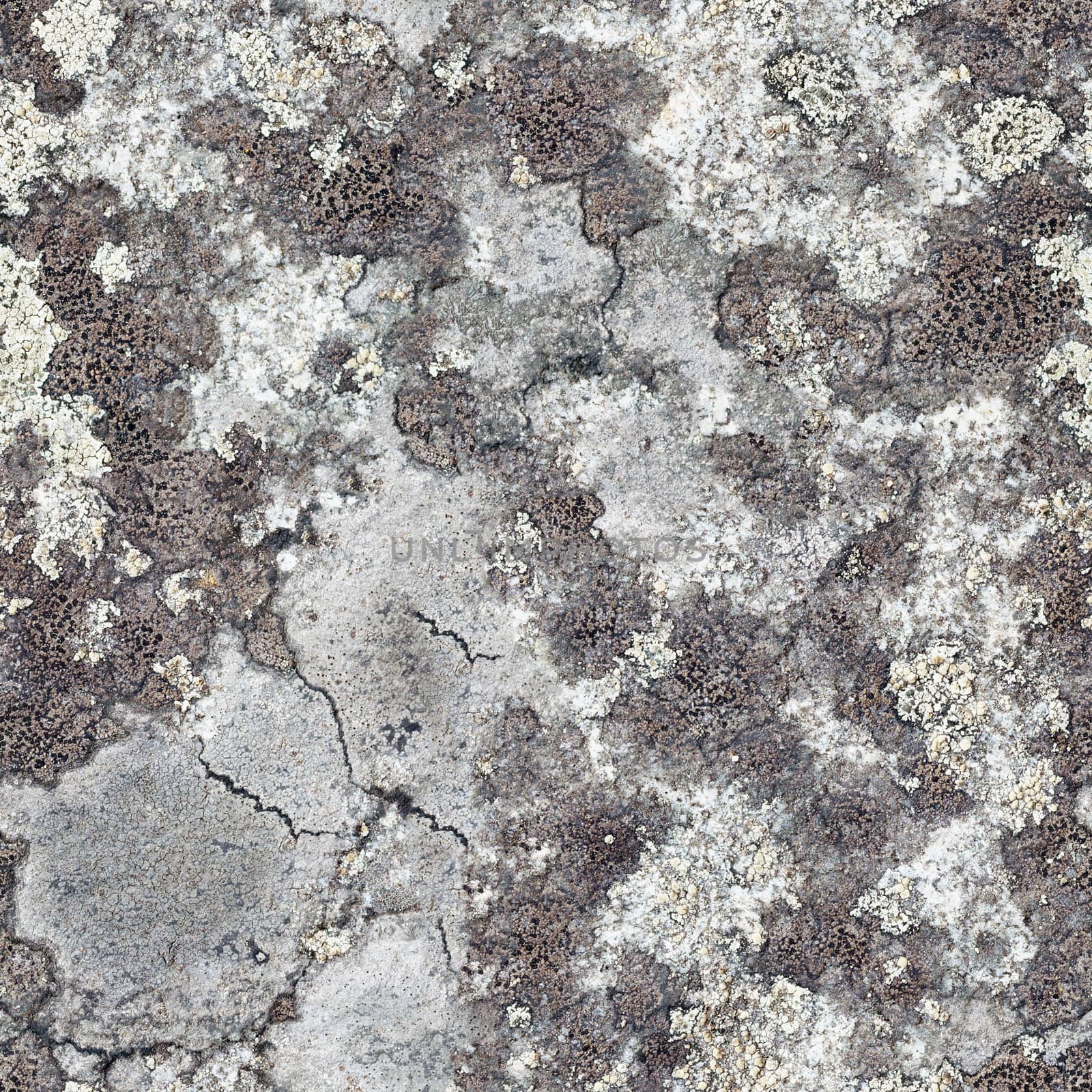 Surface of the granite rock covered with lichen - seamless texture