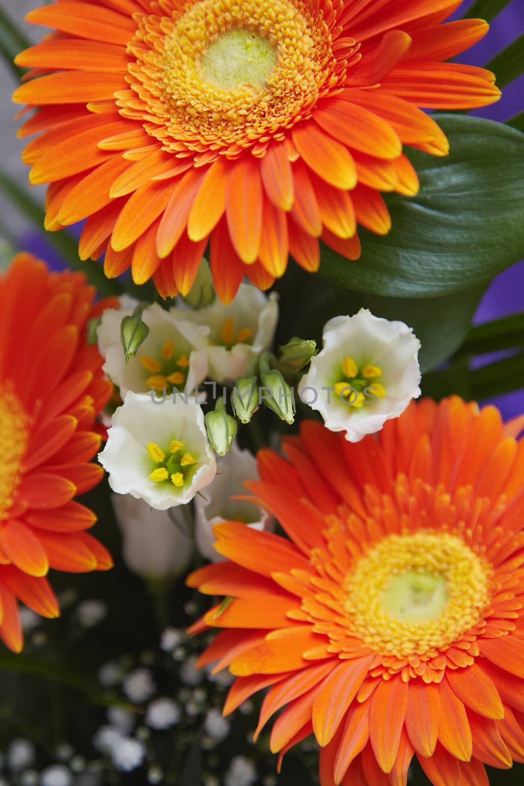 A bouquet of flowers of different varieties and colors