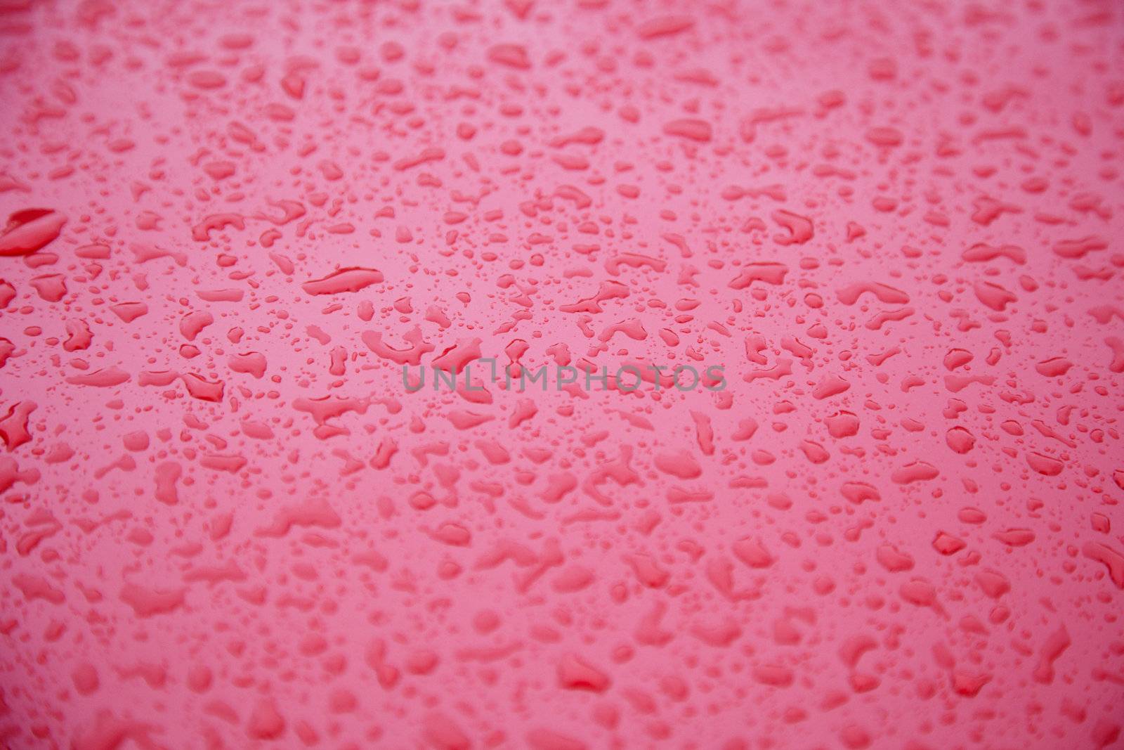 Polished surface of the car bonnet with water drops