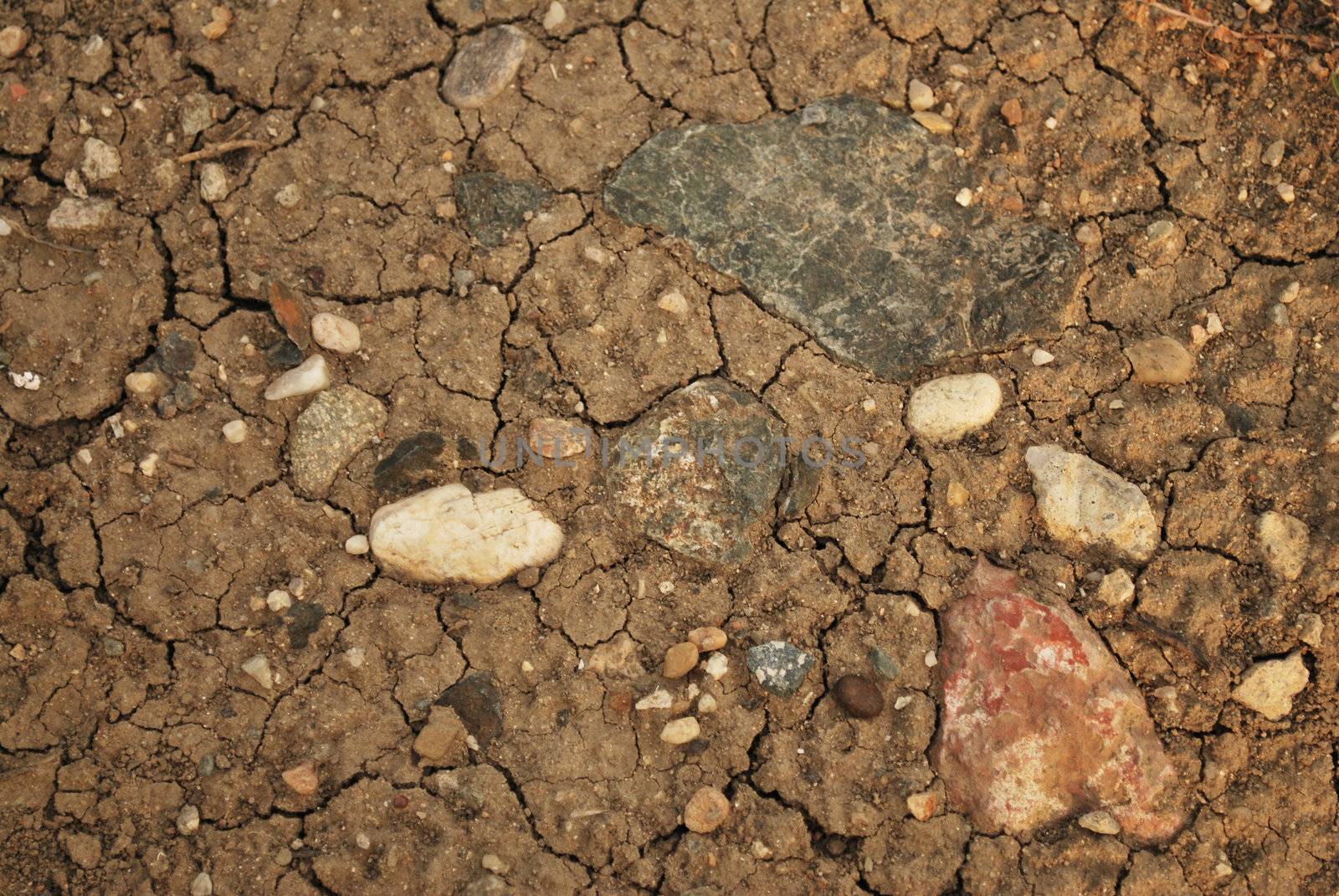 shot of a dry land with many cracks and rocks
