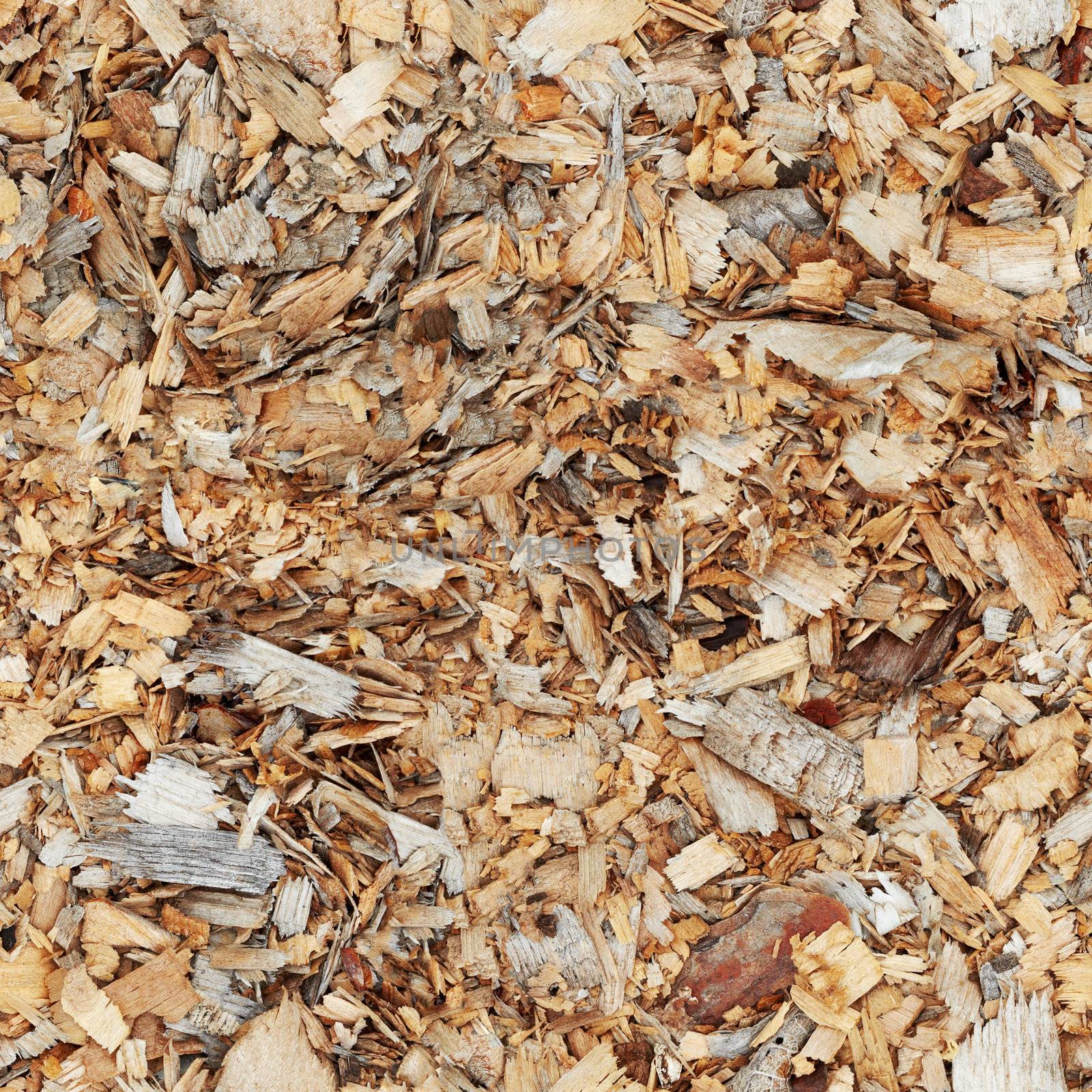 Wood shavings - seamless texture by pzaxe