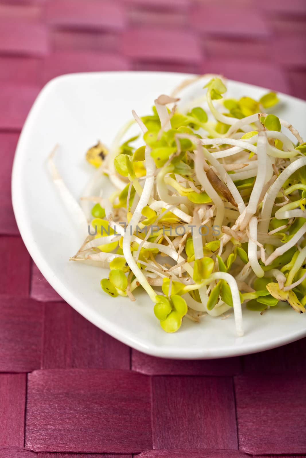 salad sprouts on a white plate