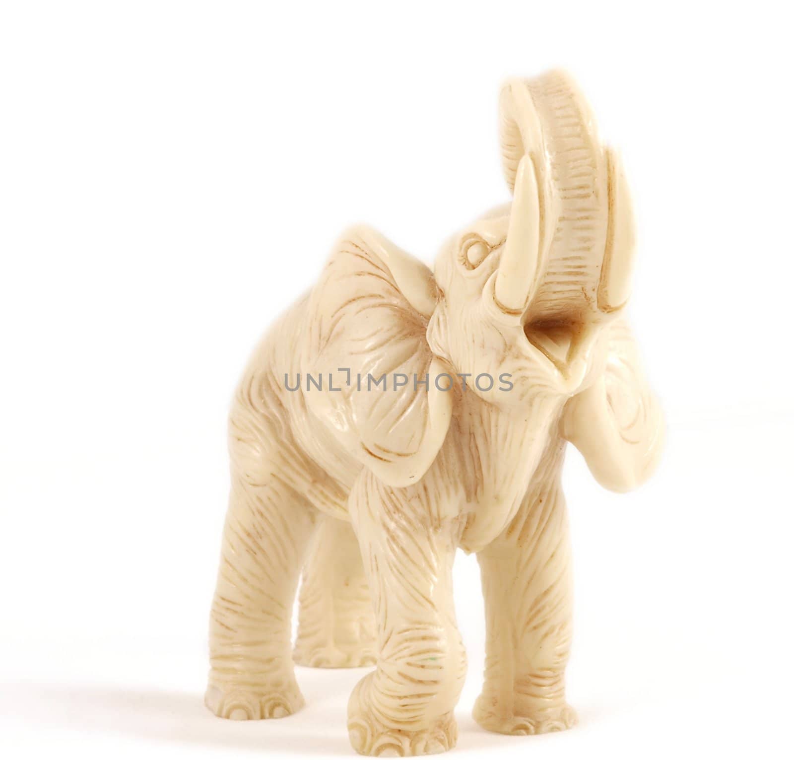 Small elephant model standing towards white background