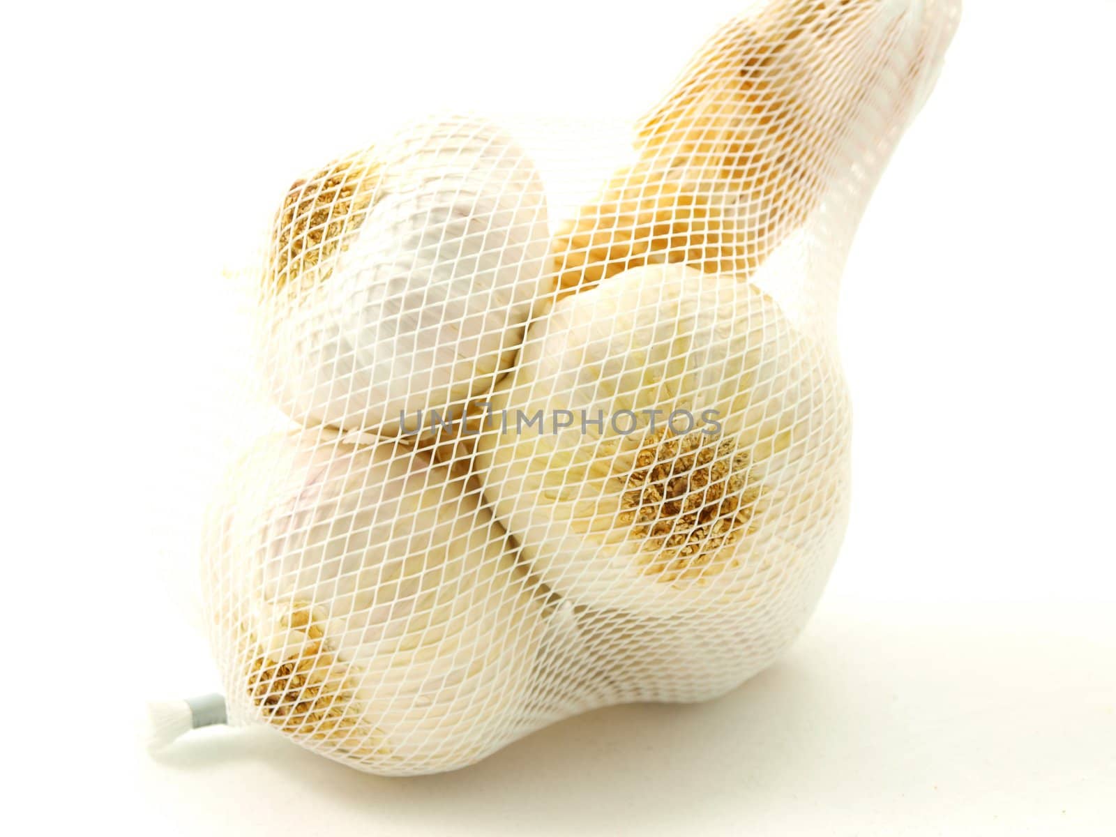 Fresh garlic spice isolated on white background