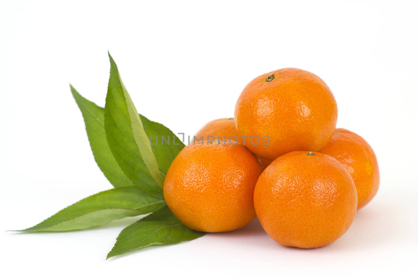 fresh tangerines