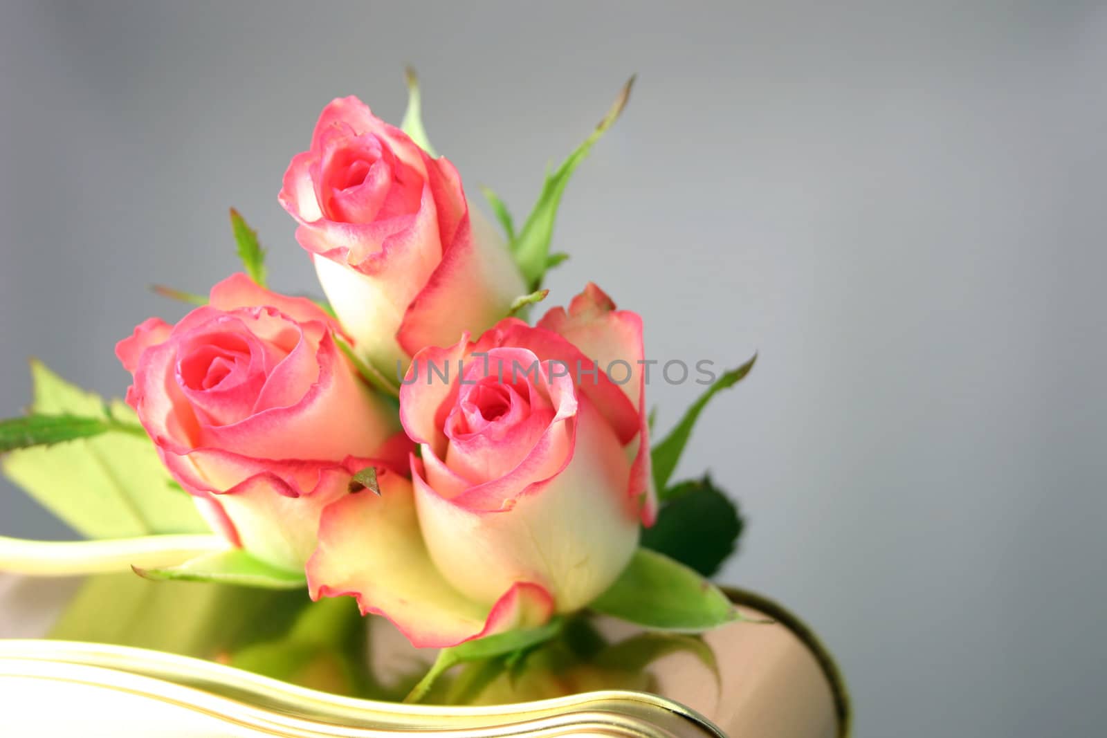 roses on a tin of chocolates over a grey background