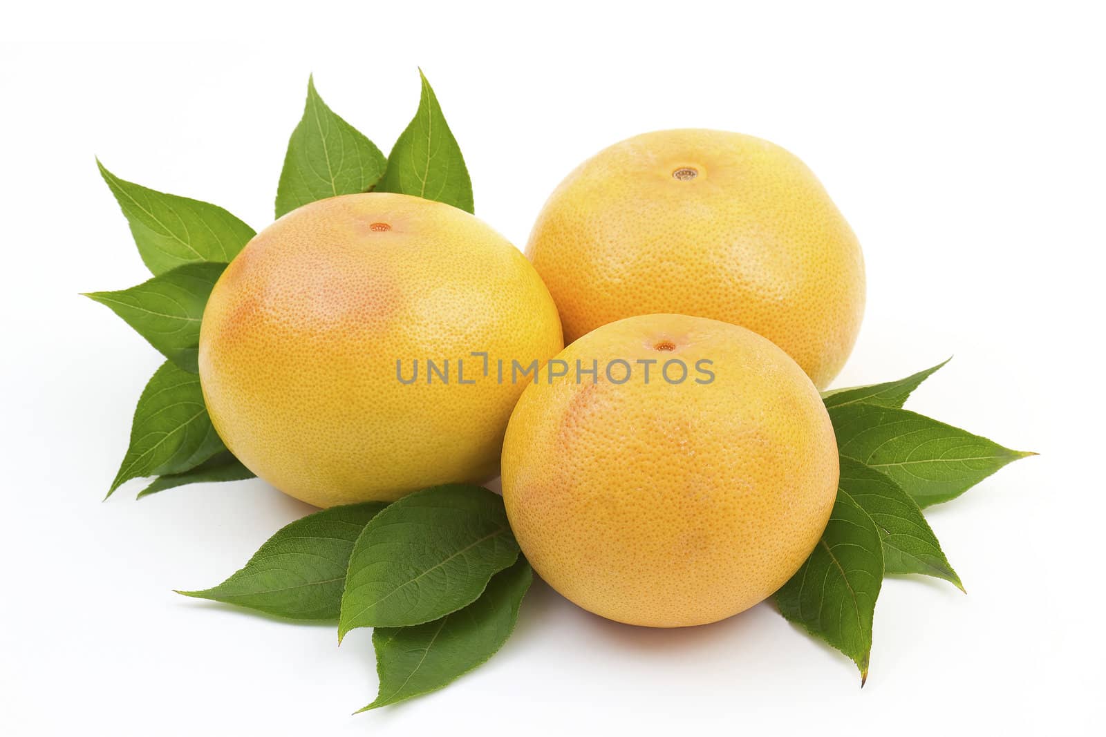 three grapefruits