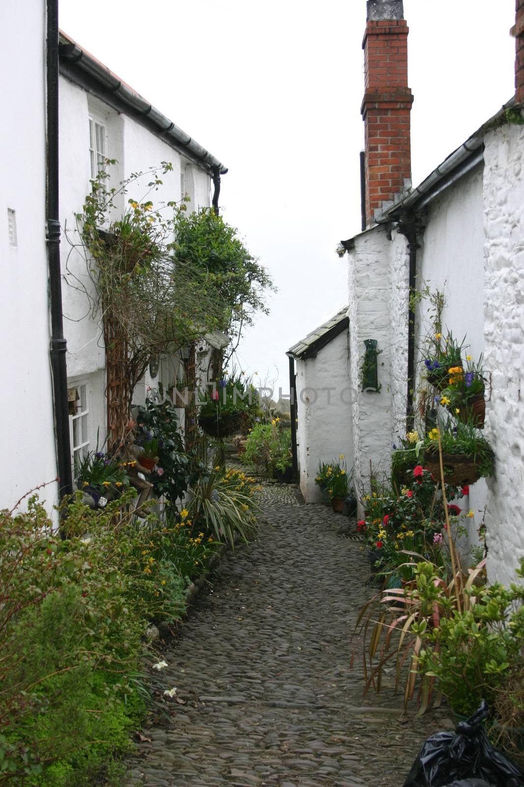 old cottaages with narrow cobble path between them decorated with flowers and shrubs