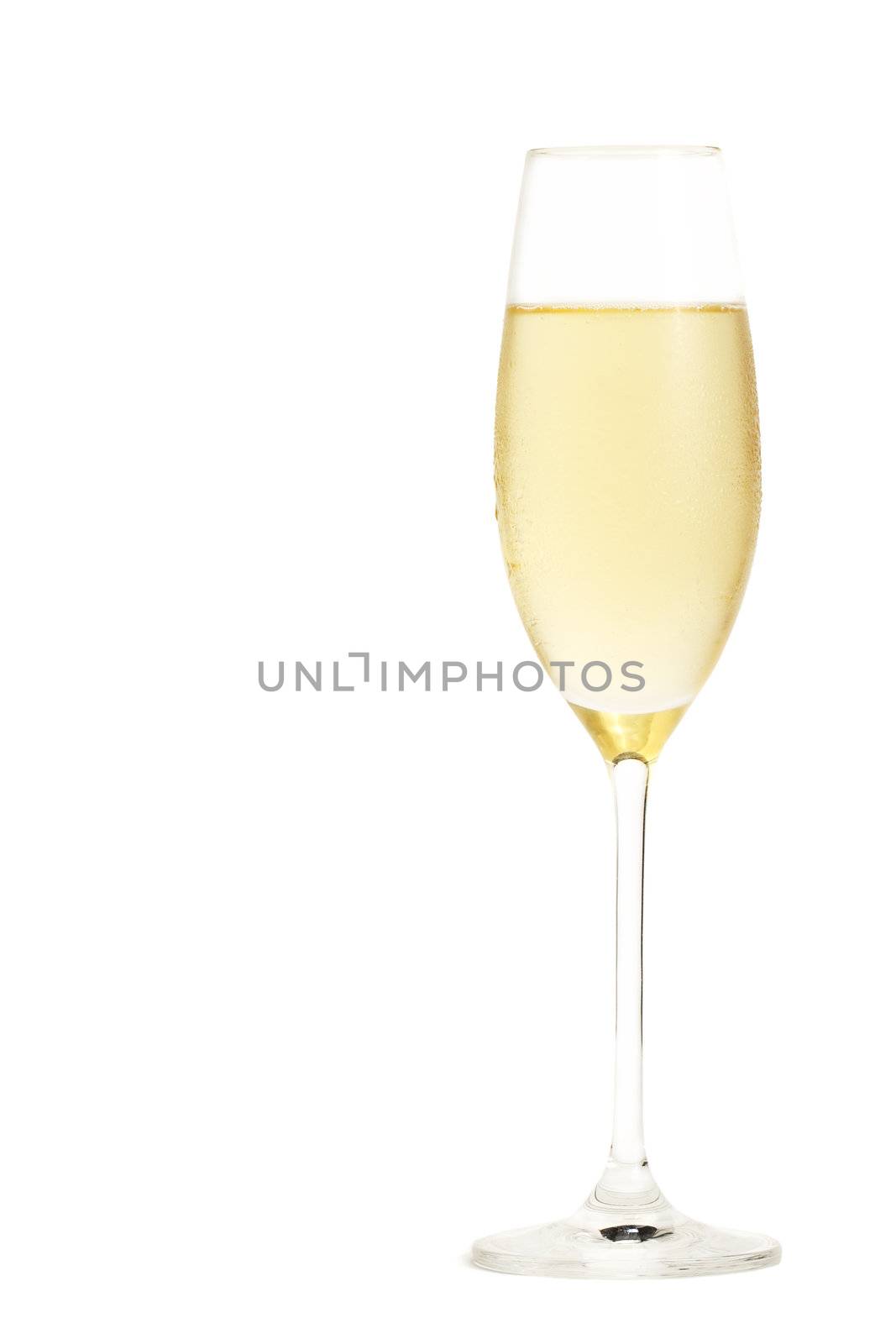 cold champagne in a champagne glass on white background