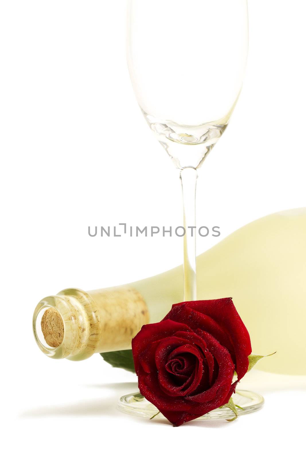 wet red rose with a dull prosecco bottle and a empty champagne glass on white background