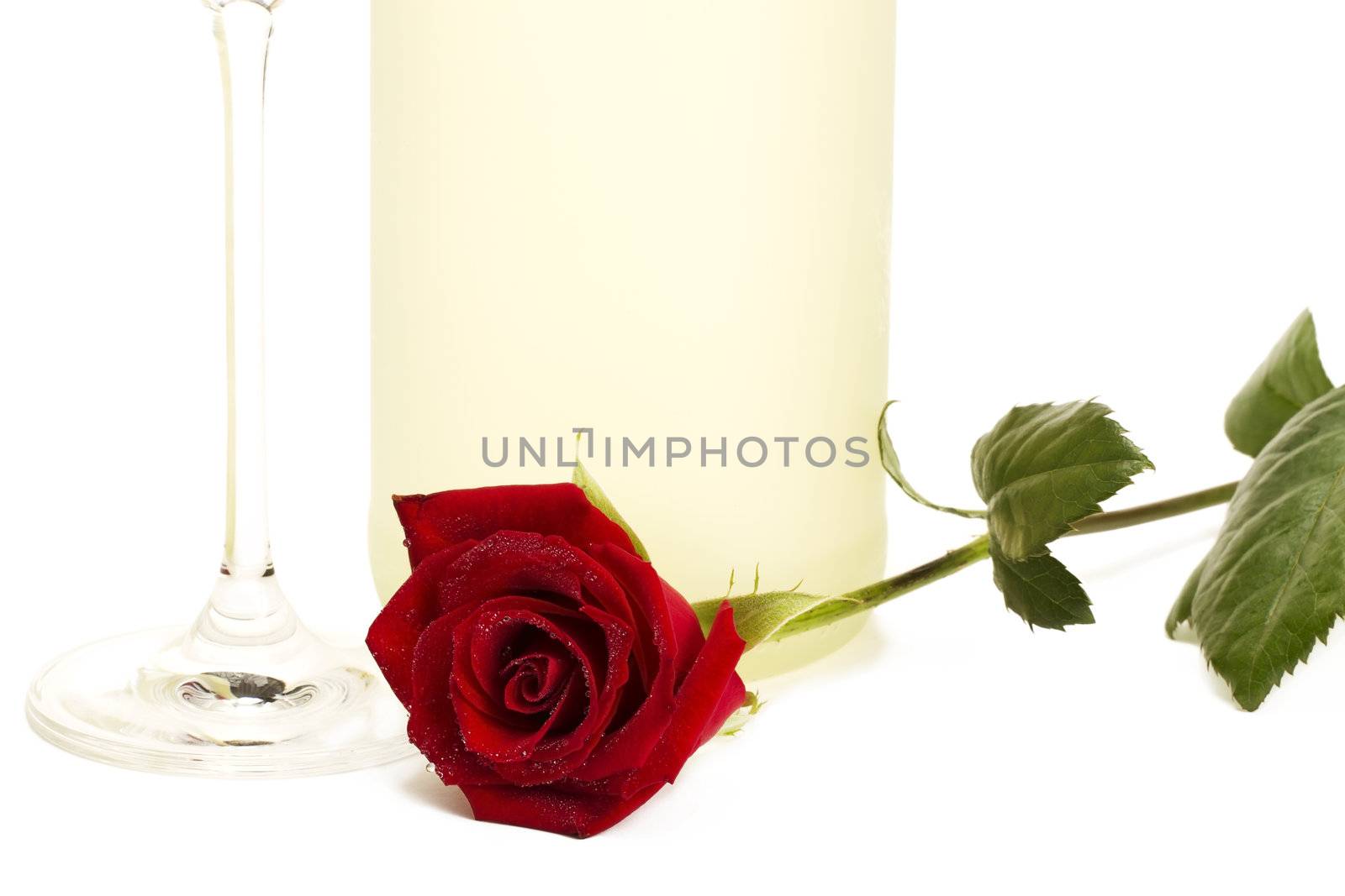 wet red rose in front of a dull prosecco bottle and the bottom of a champagne glass on white background