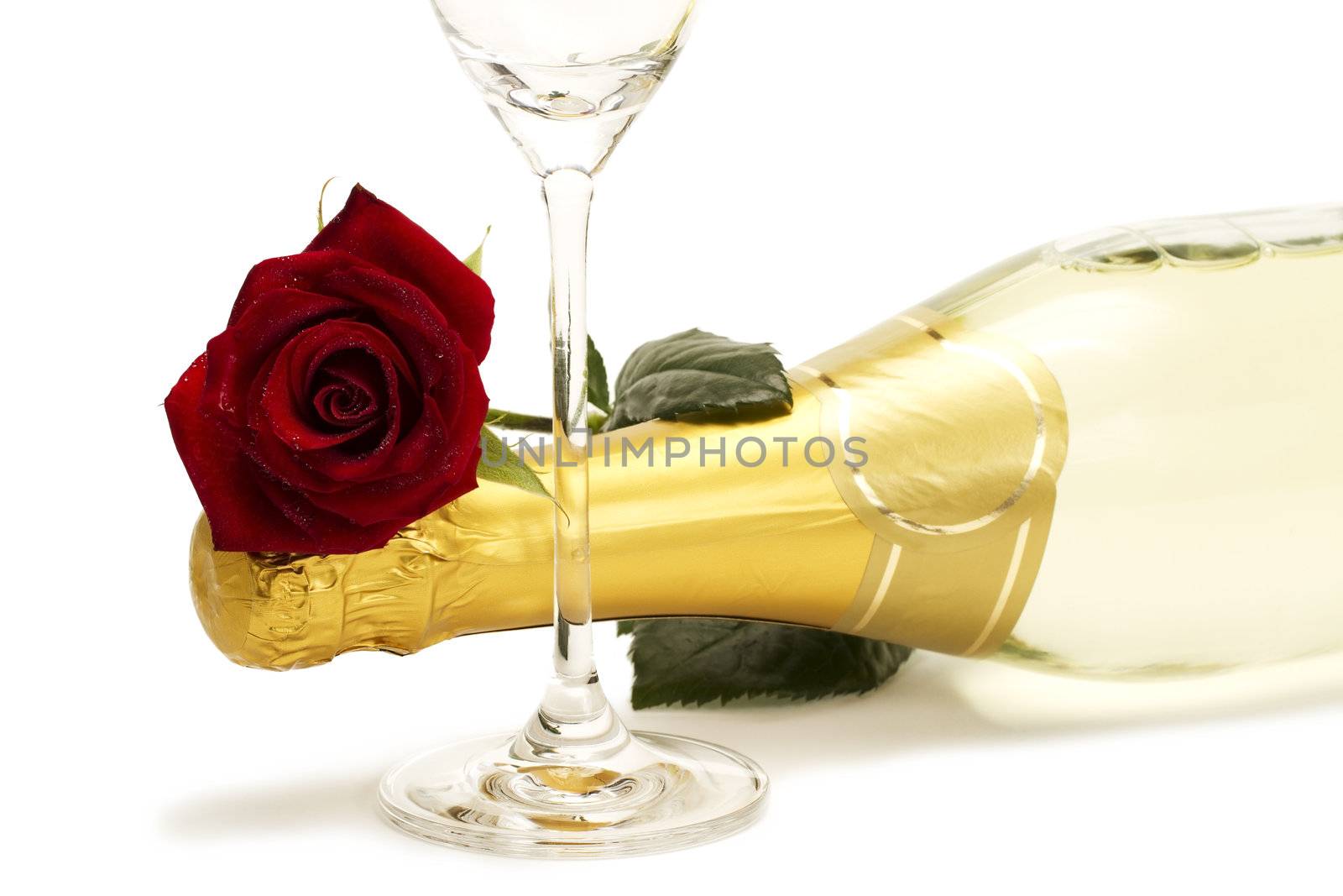 wet red rose on a champagne bottle behind a champagne glass on white background