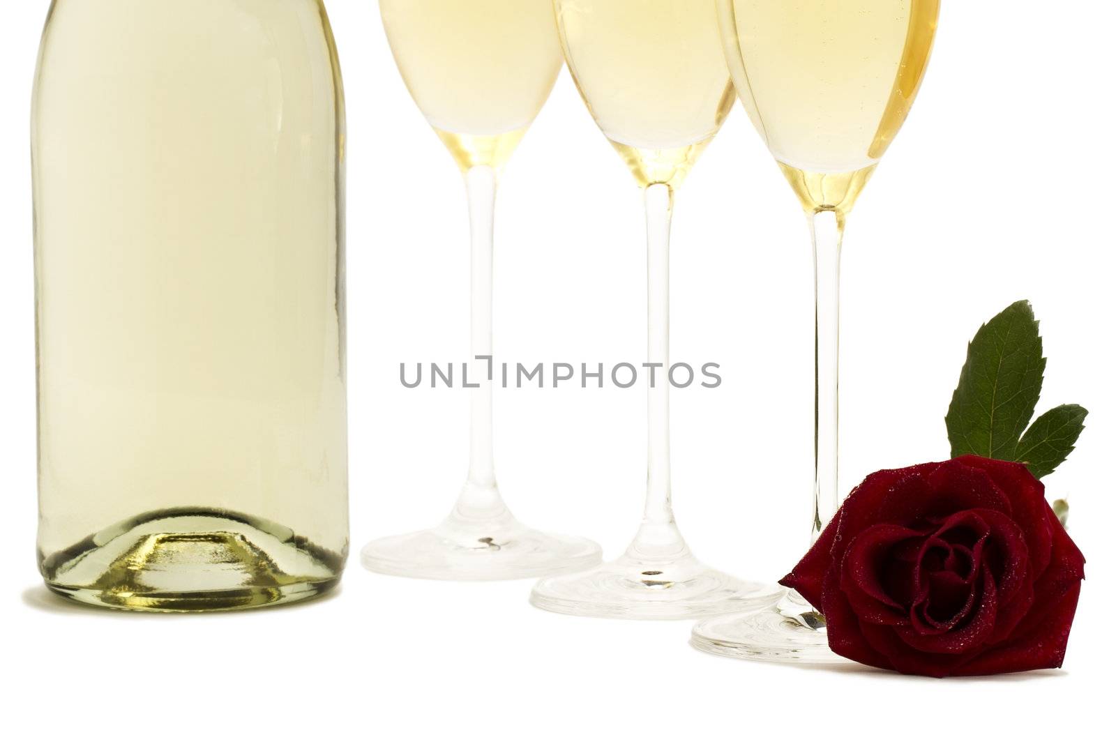 wet red rose in front the bottom from three champagne glasses and a champagne bottle on white background