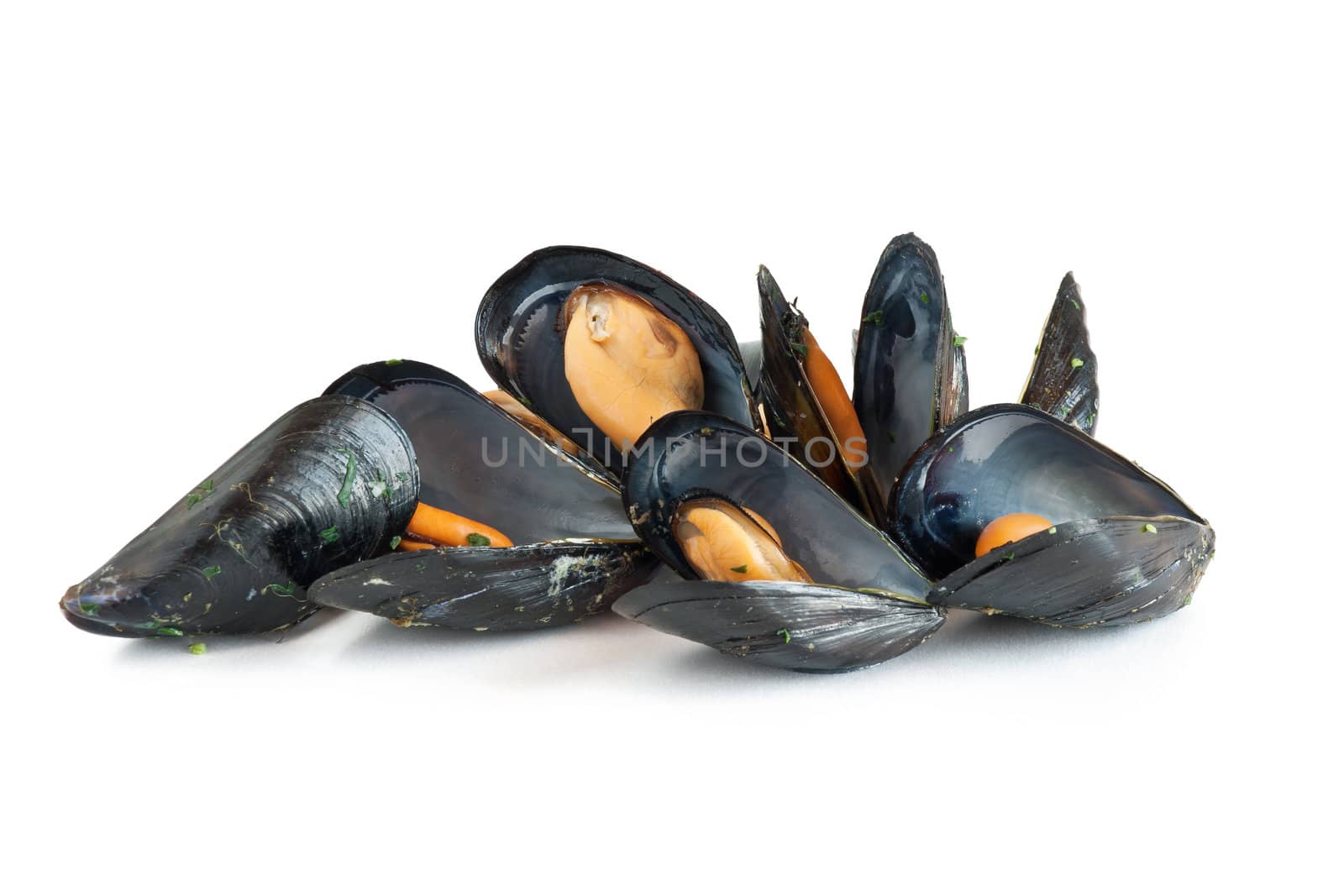 group of mussels boiled with garlic isolated on white background
