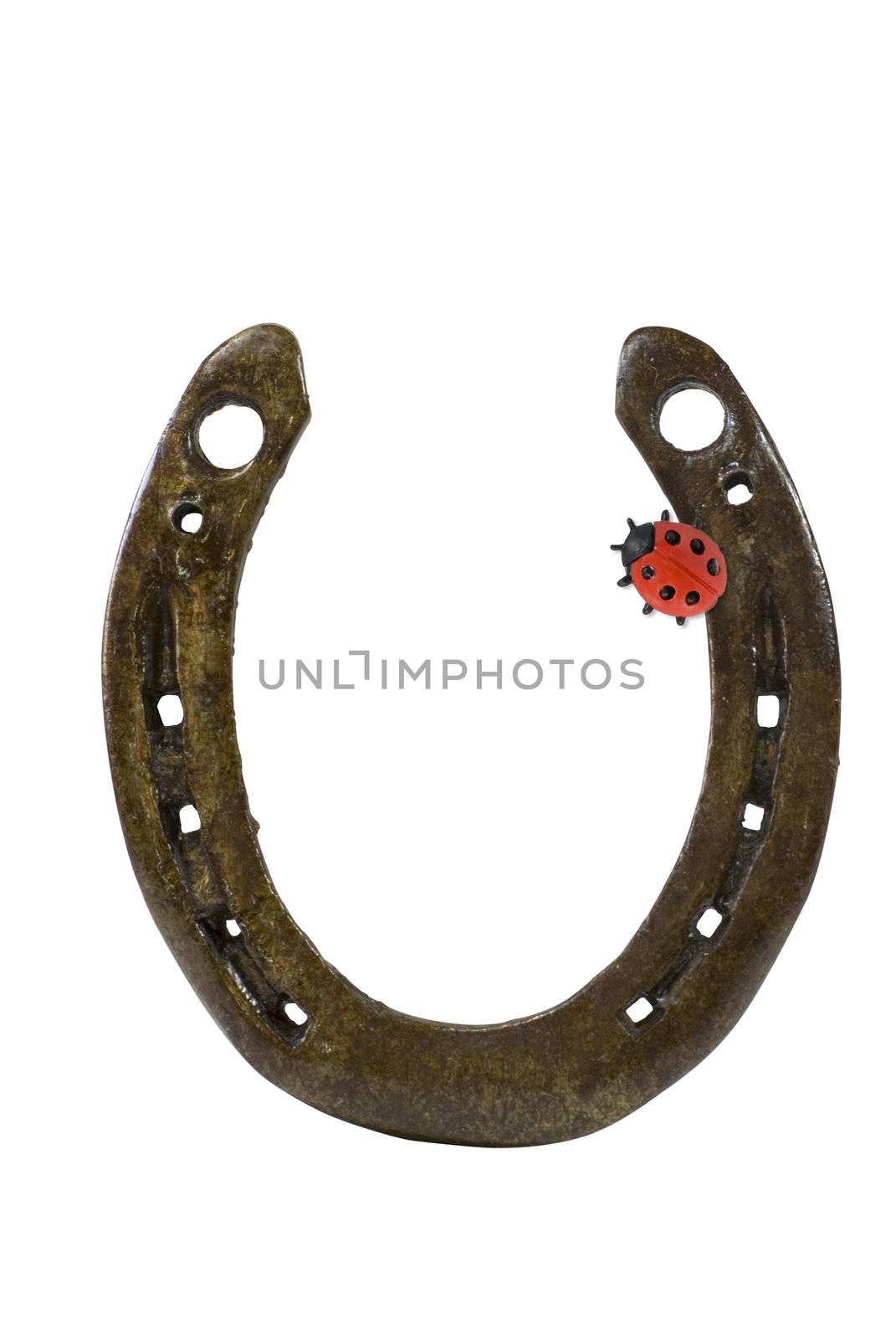 Shot of Horseshoe and ladybeetle conceptual for luck and new year's eve