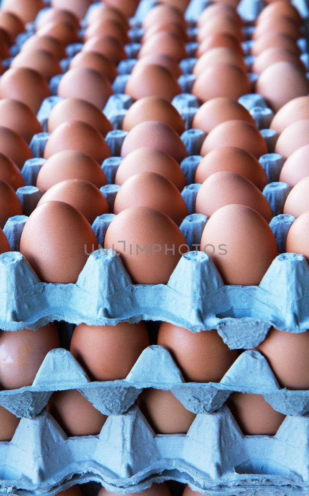 Piles eggs by bobkeenan