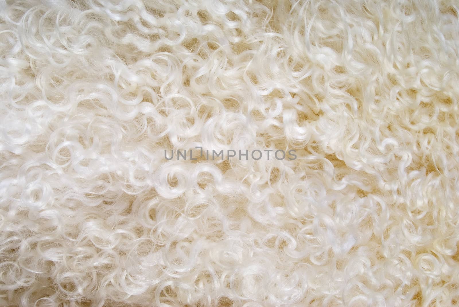Background of sheepskin for collages or other works of art