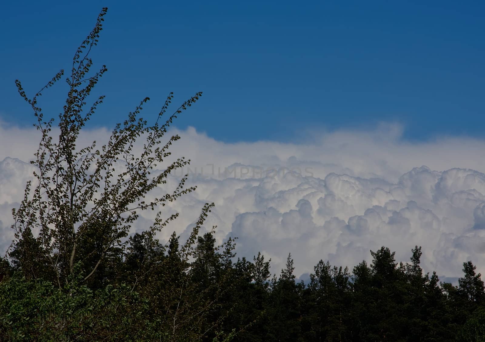 winter mountains