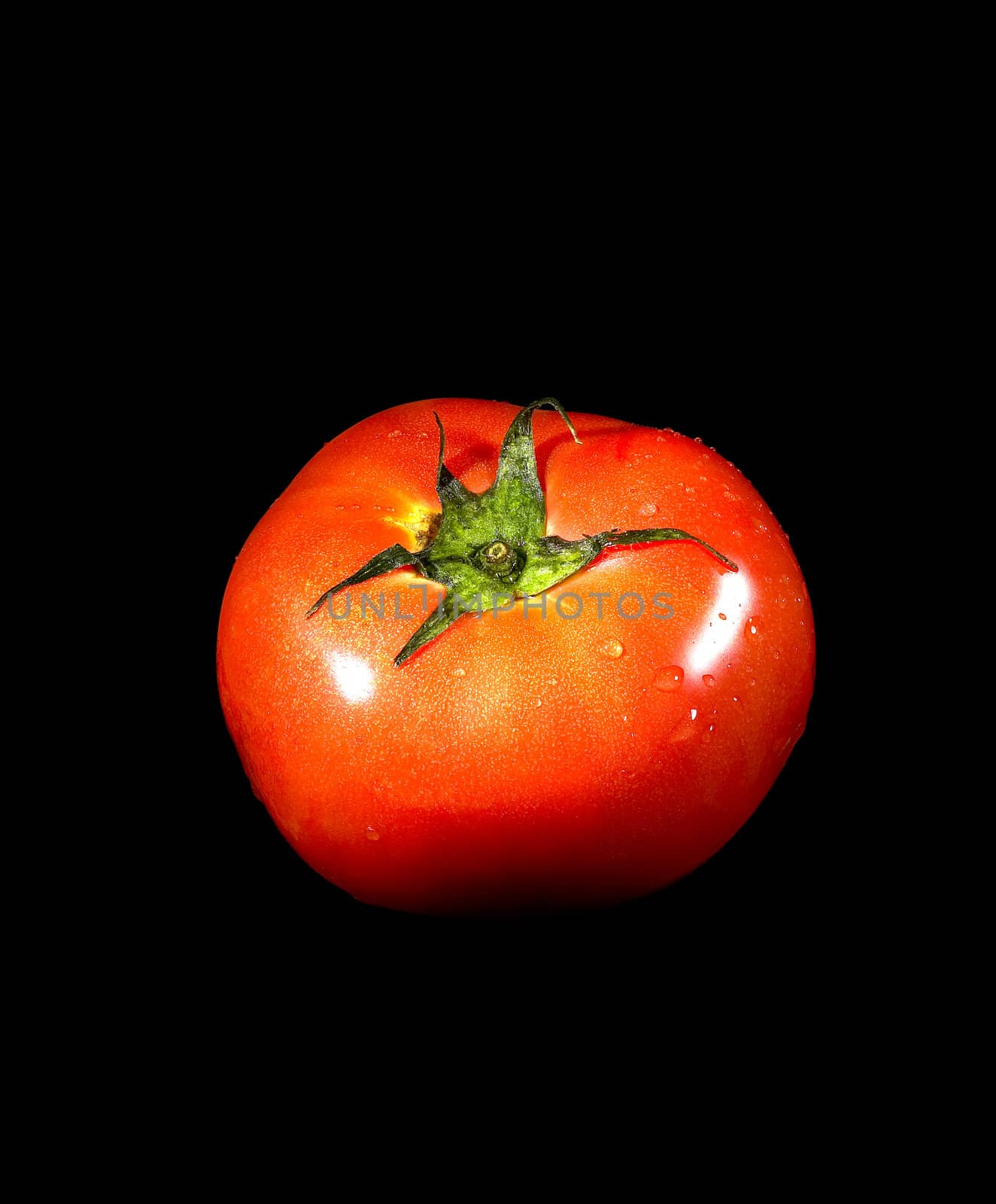 fresh vivid ripe tomato over black background