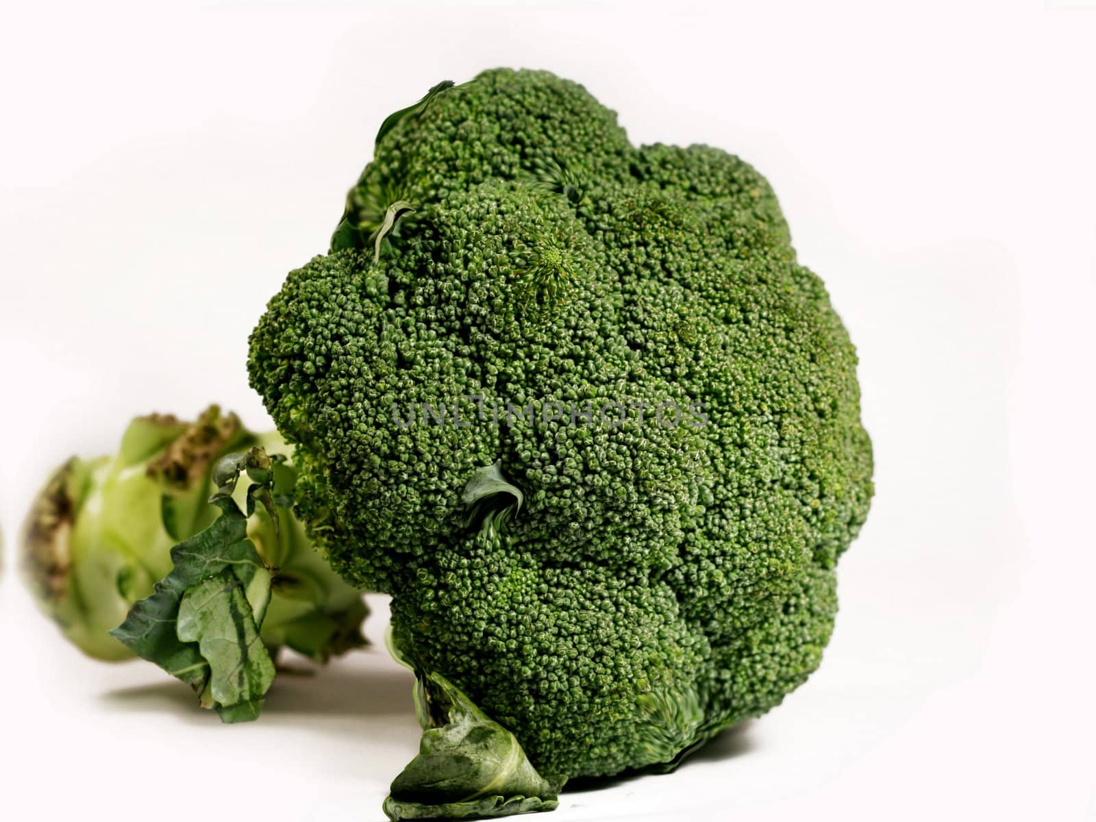 Close up of fresh broccoli isolated over a white background