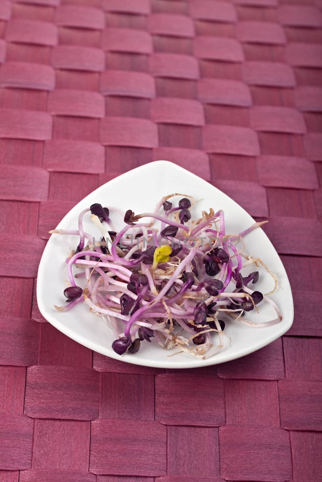 salad sprouts on a white plate by bernjuer