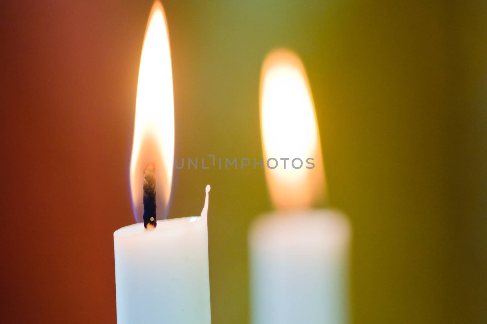 Two wedding candles (macro) by shivanetua