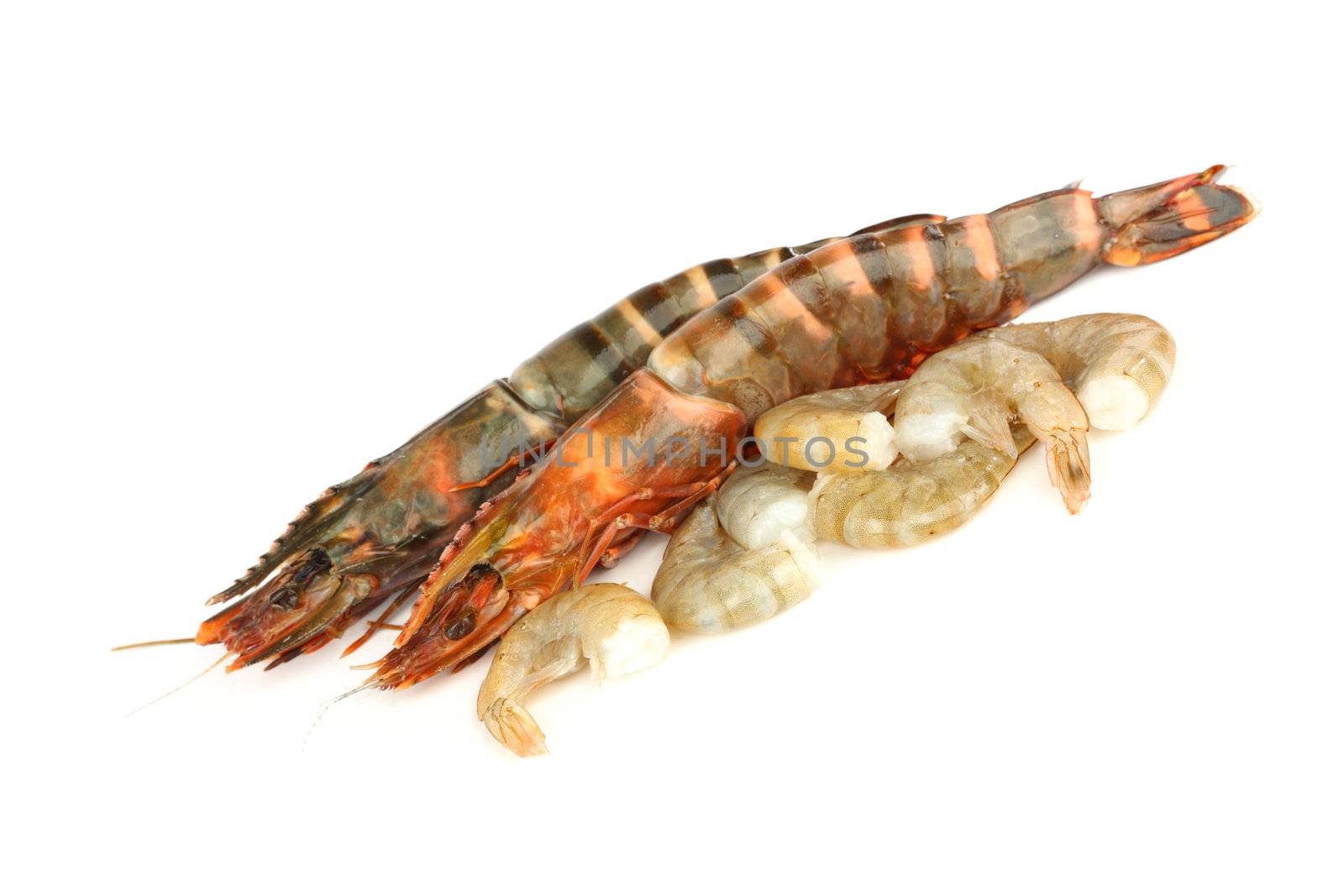 fresh shrimps isolated on white