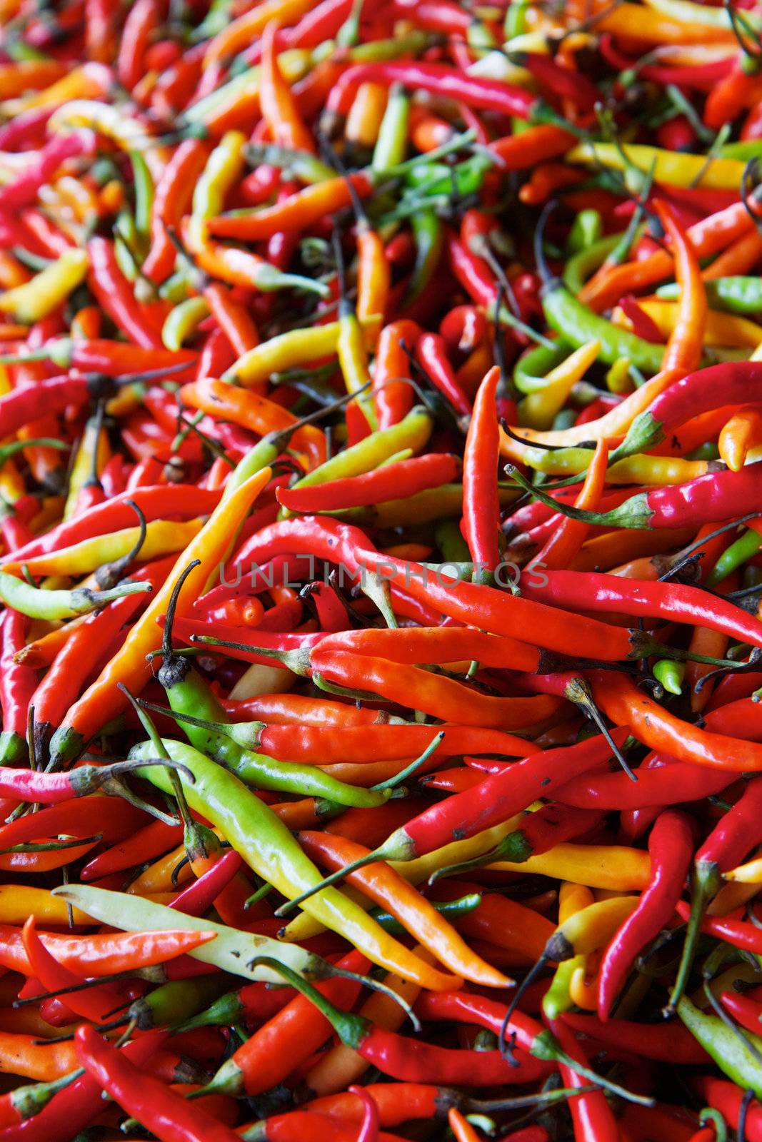 Pile of Hot red, yellow, and green peppers at farmers market