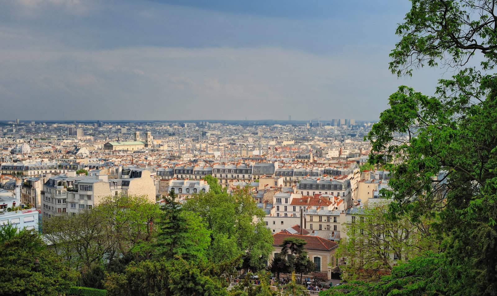 View of the Paris from the Montmartre