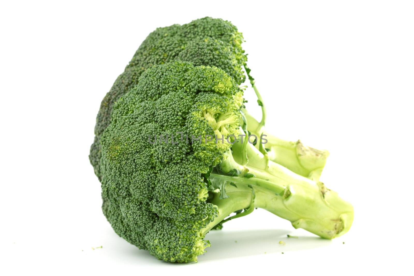 broccoli isolated on white background