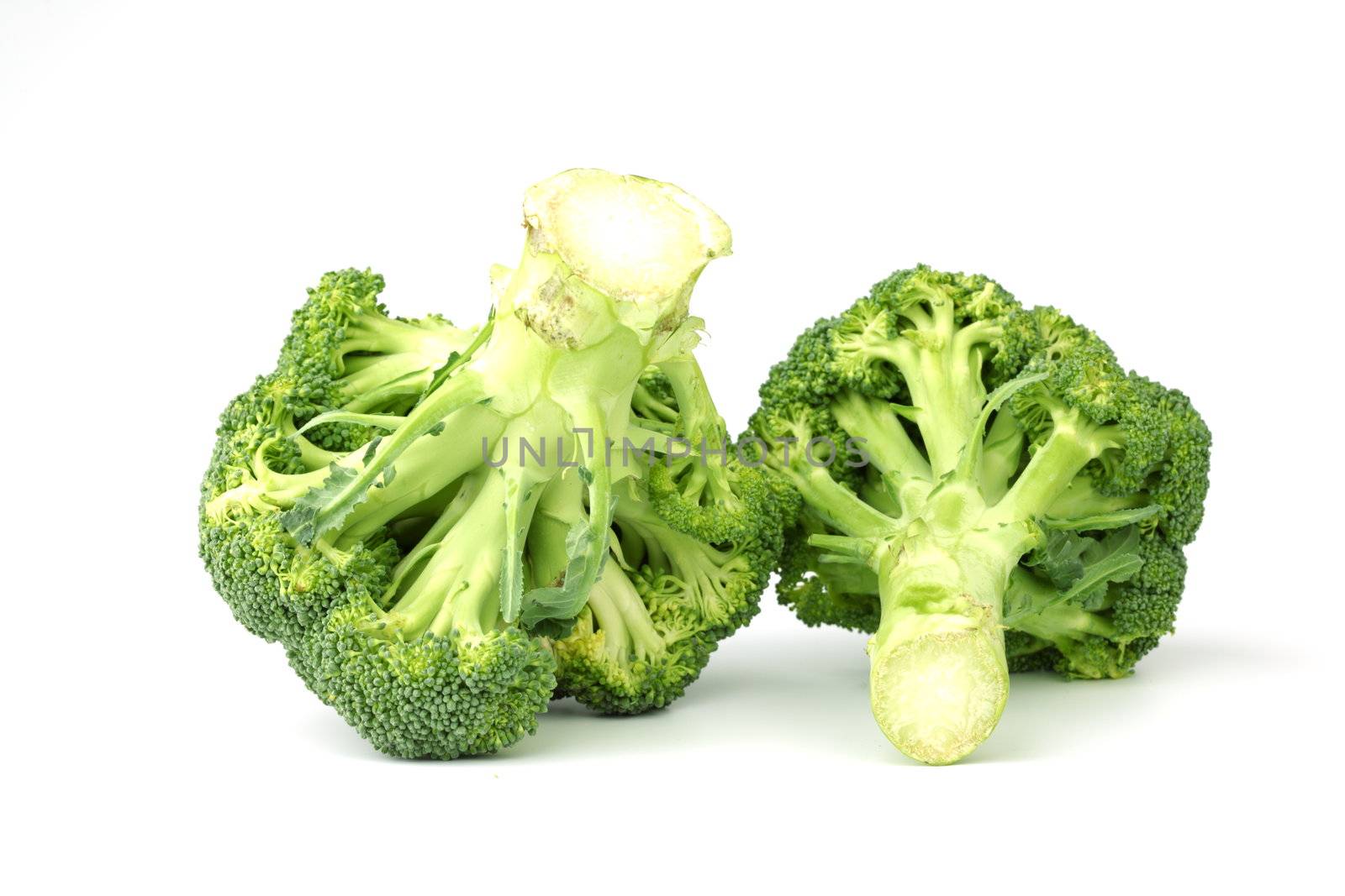 broccoli isolated on white background