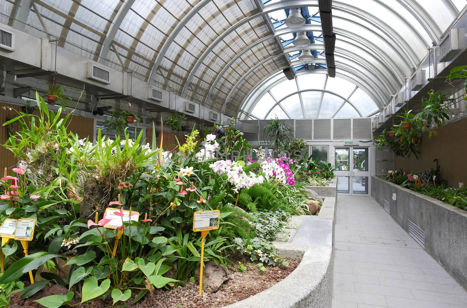 greenhouse