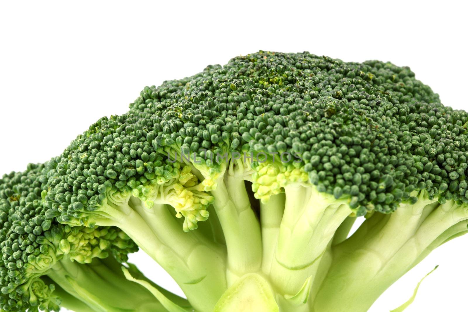 broccoli by Yellowj