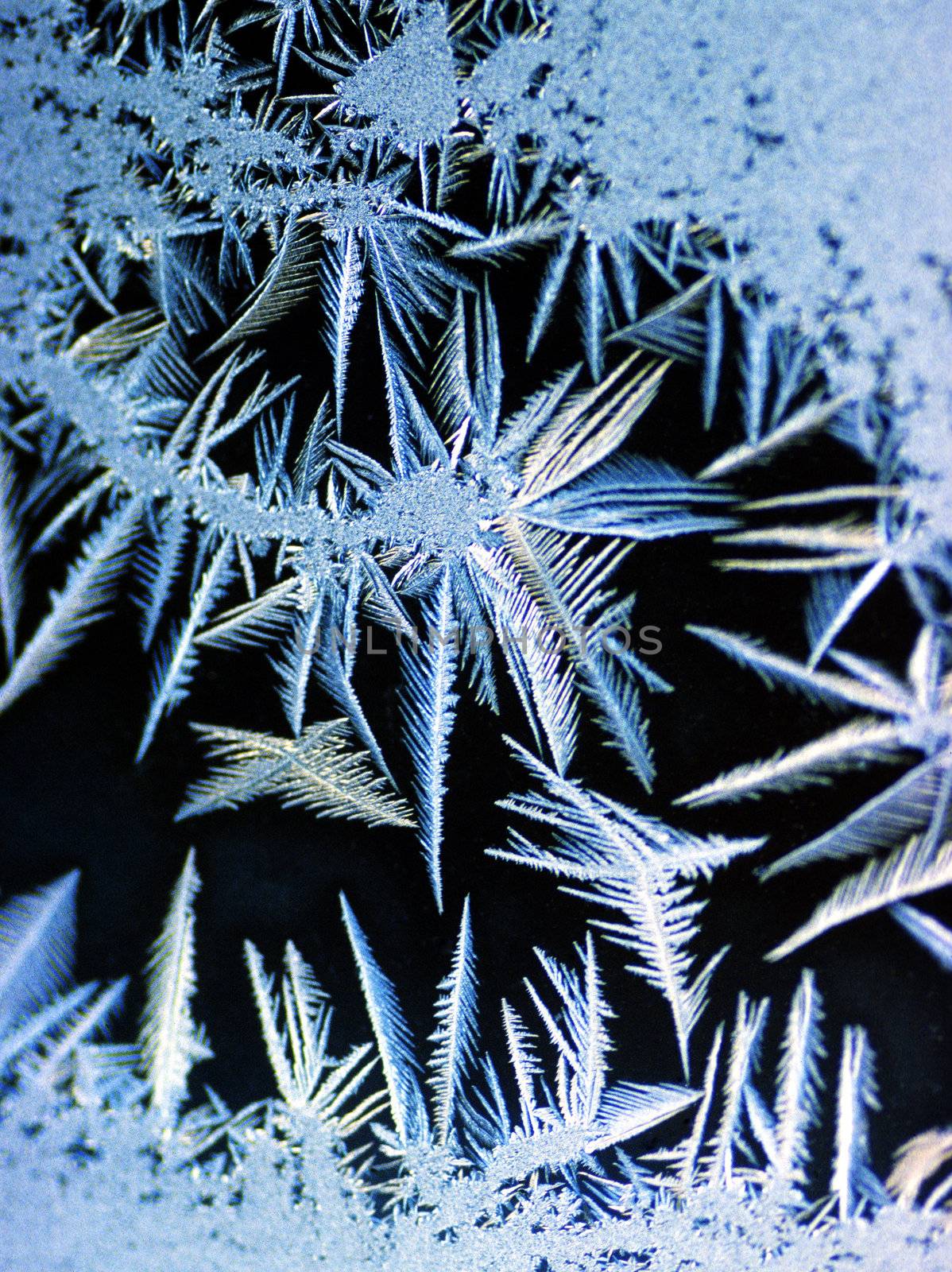 Frost on window by f/2sumicron