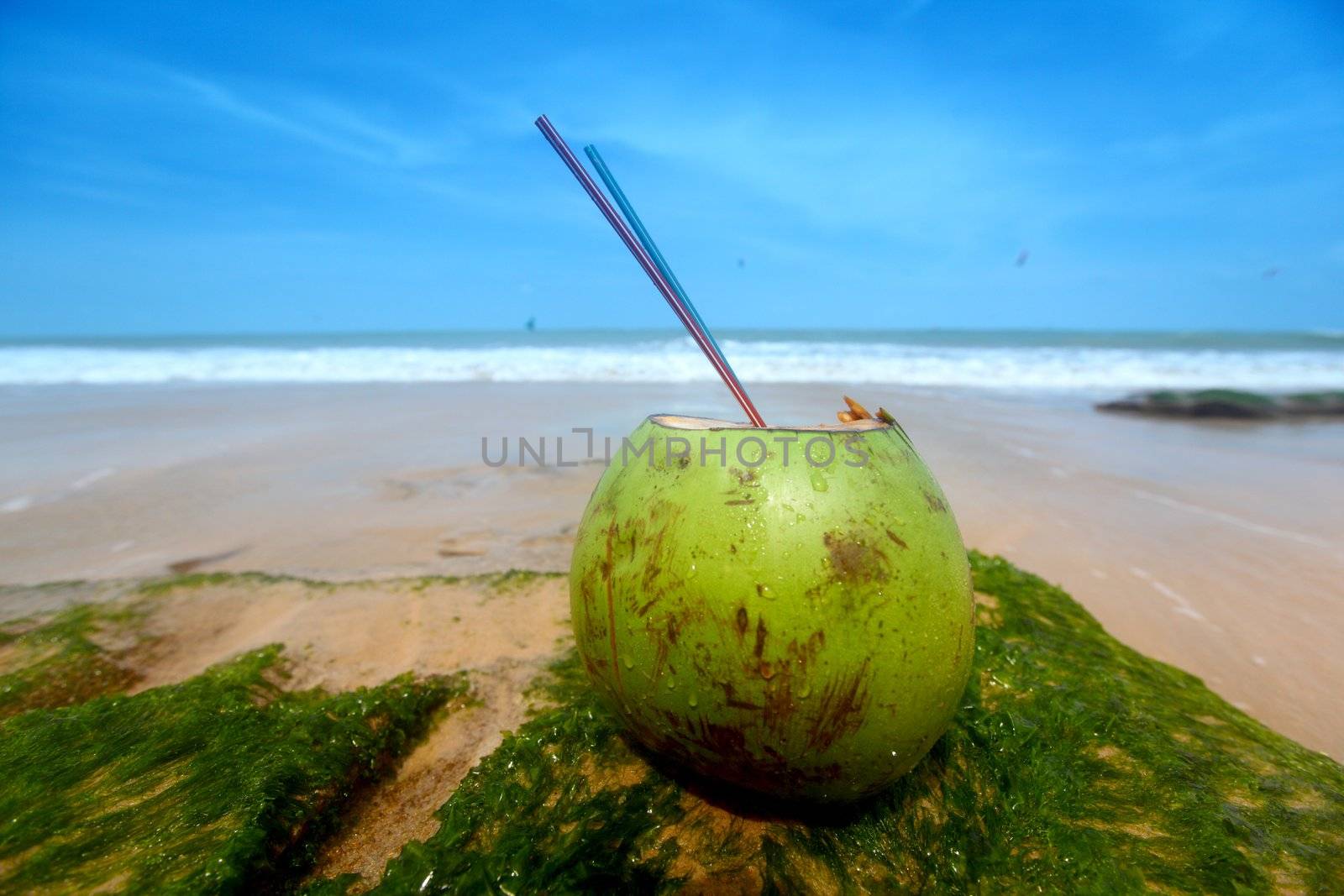 coconut cocktail on beach sand