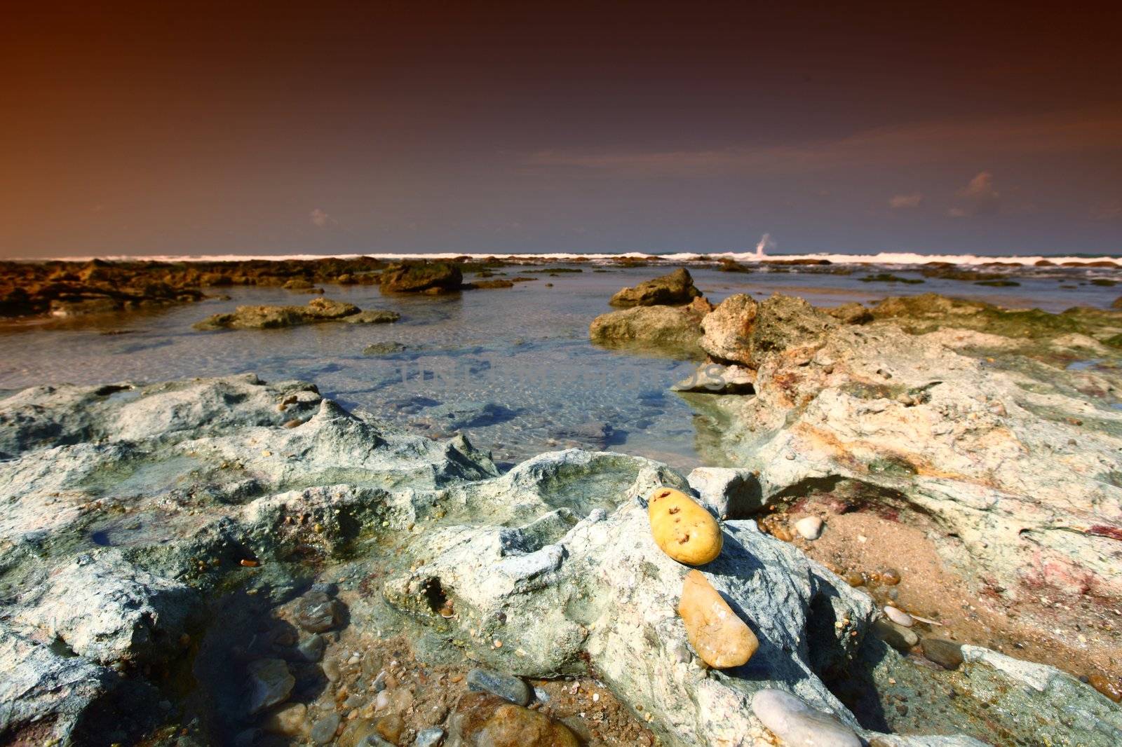 Reef stones an ocean water