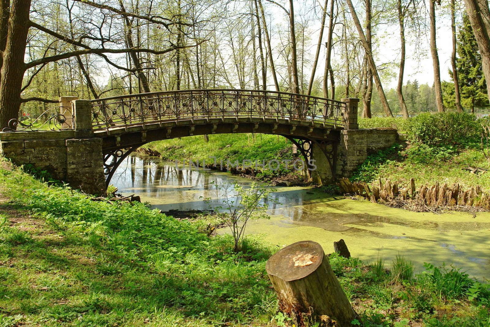 The old bridge through the thrown small river in park, Petersburg, Gatchina