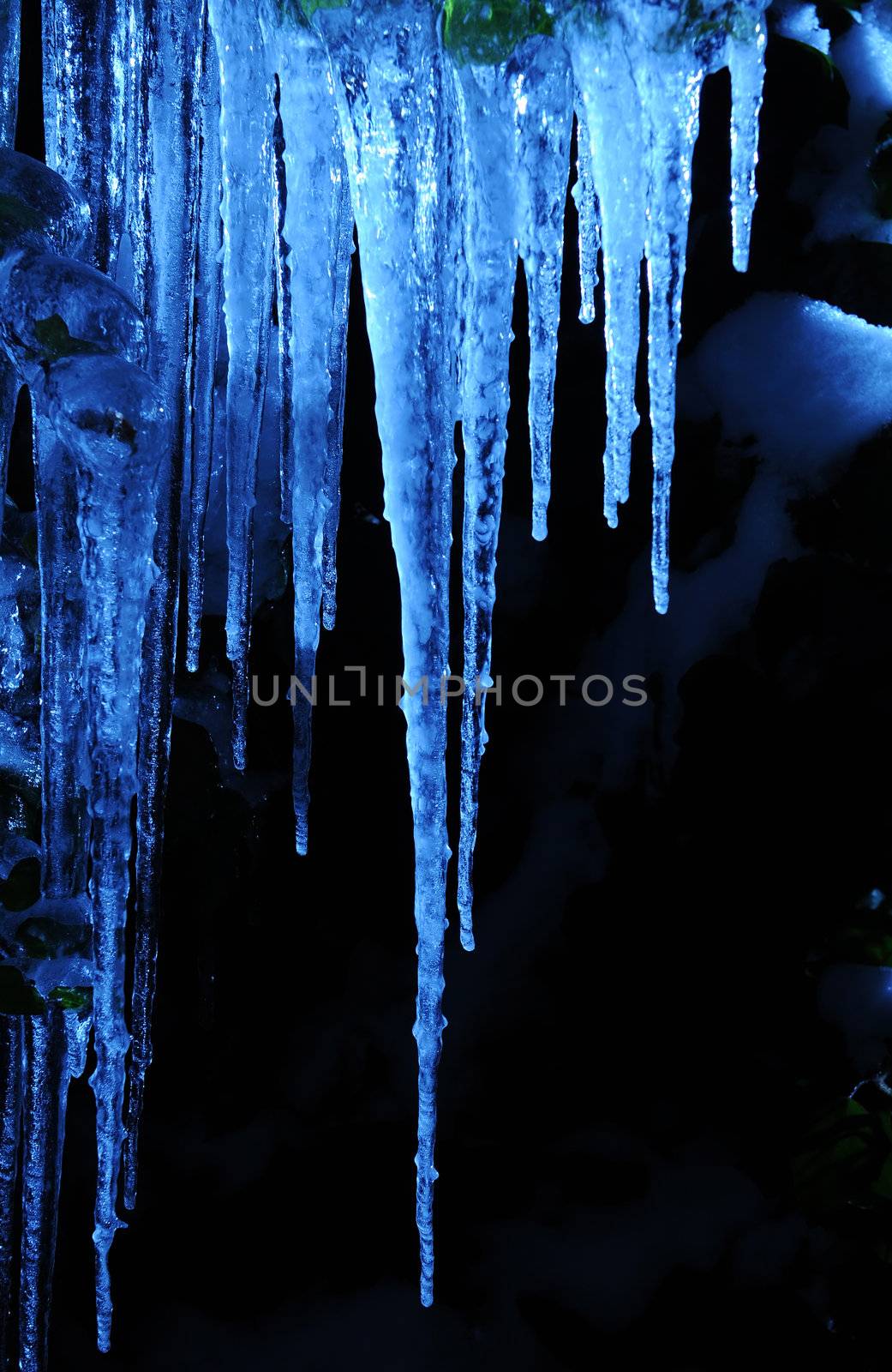 Icicles in cold blue light shining in the darkness at night