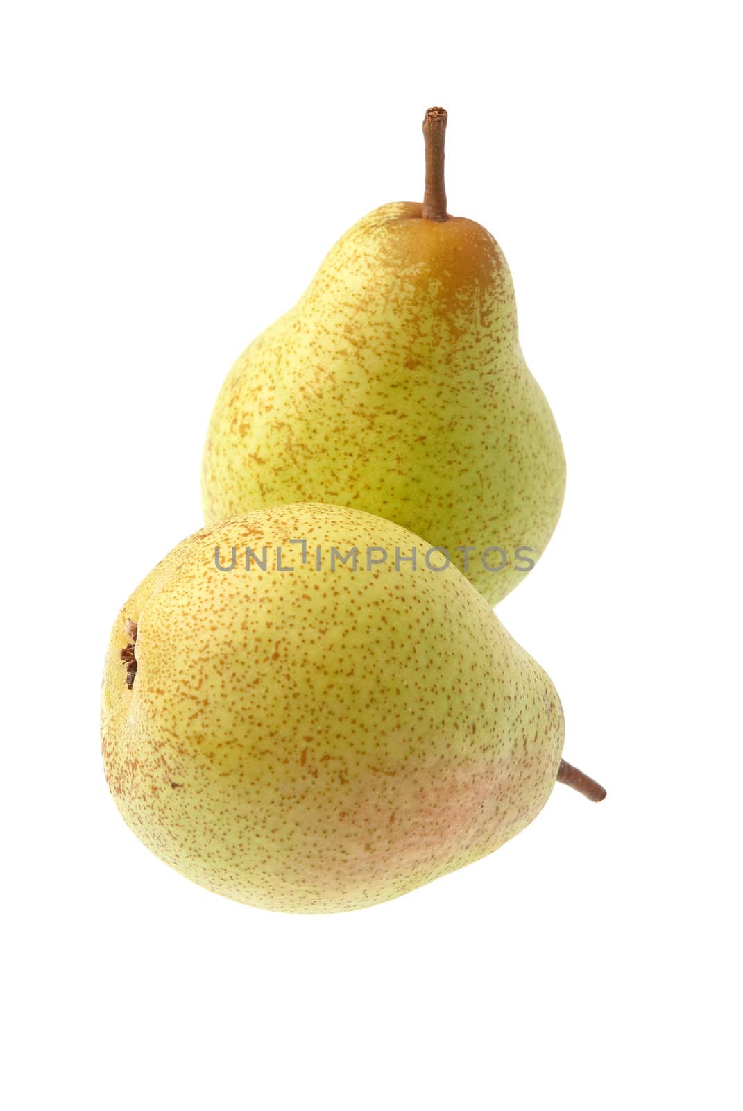 Two pears isolated on white background.