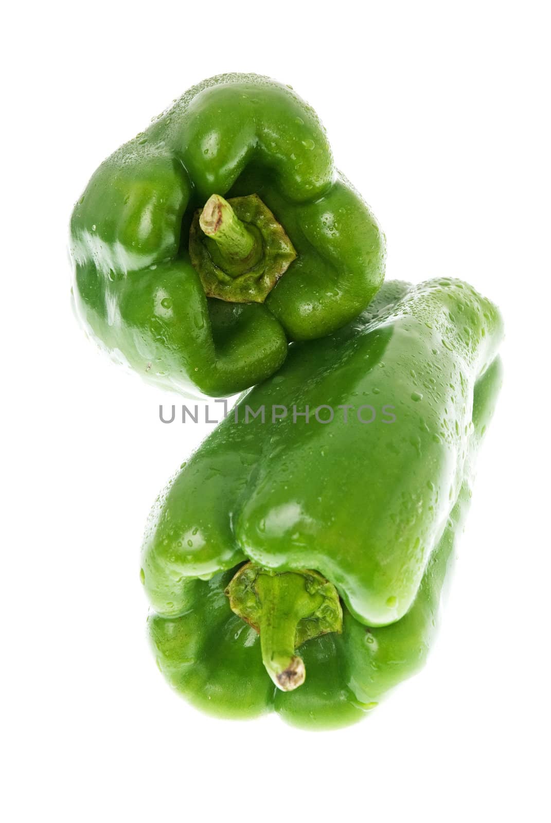 Green pepper on white background close up isolated on white background.