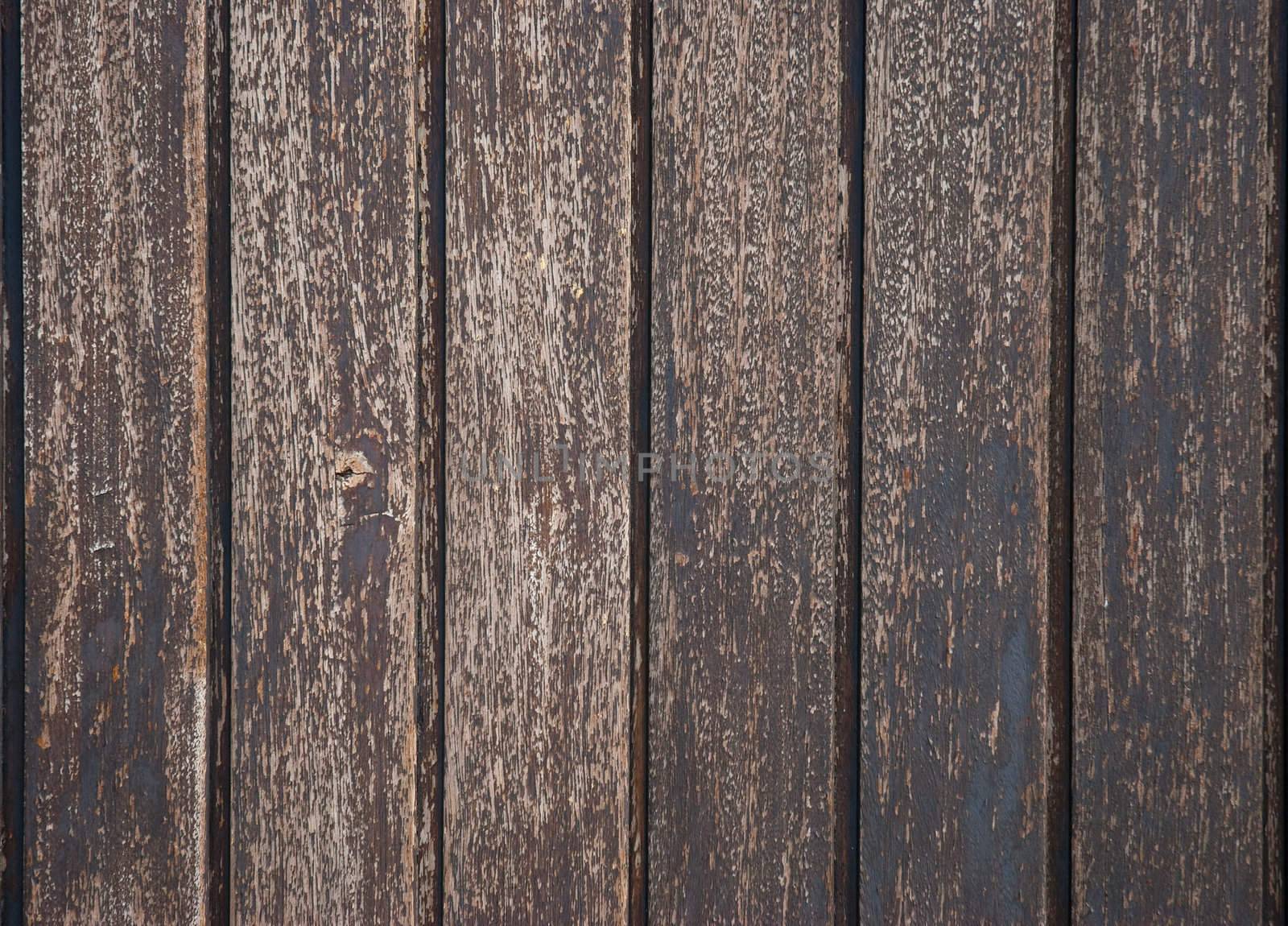 Wood old wall background shot on natural light.