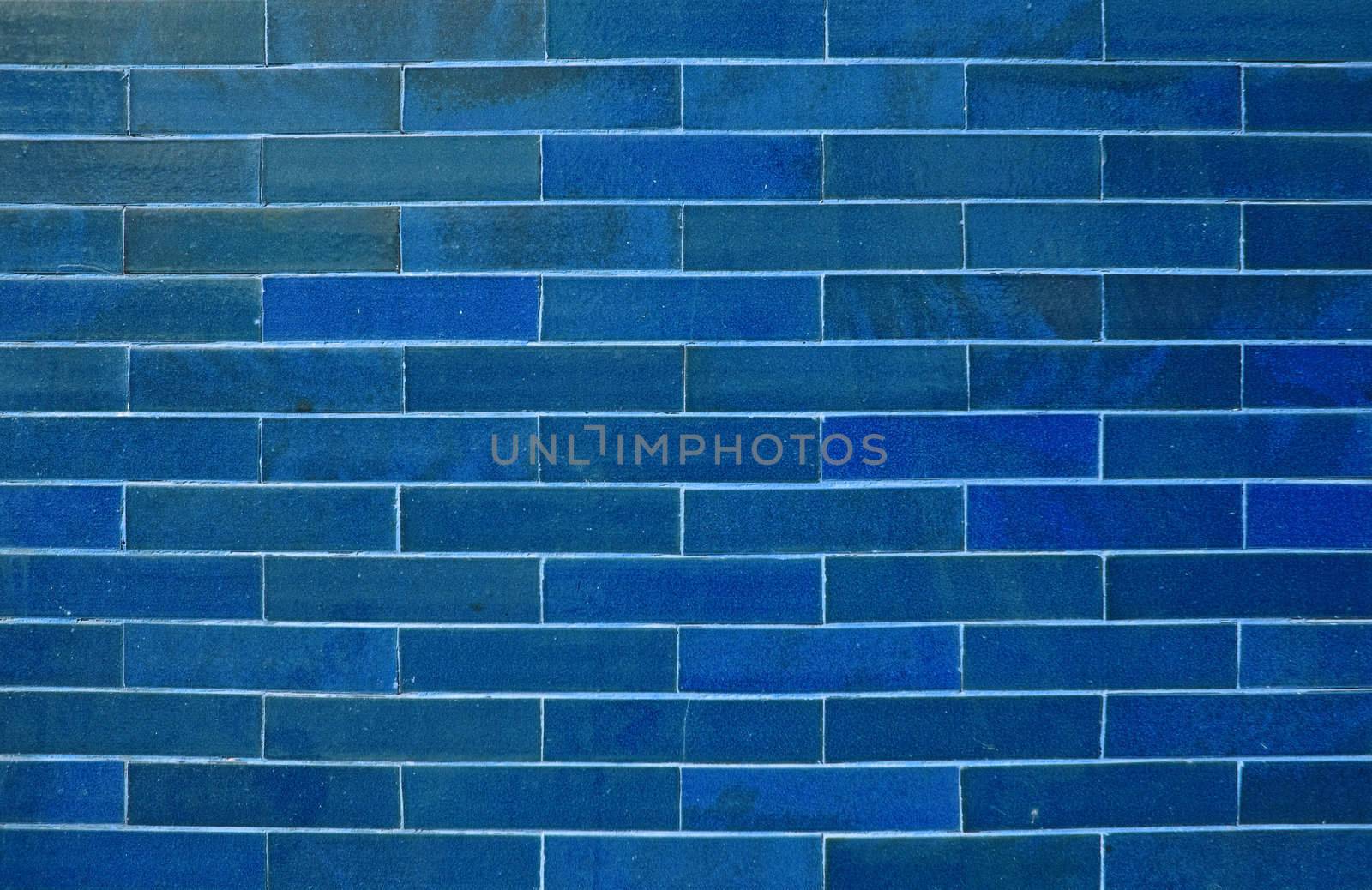 Detail of Portuguese glazed tiles.