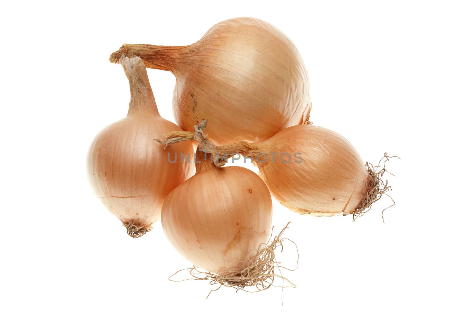 Four ripe onions isolated on a white background.