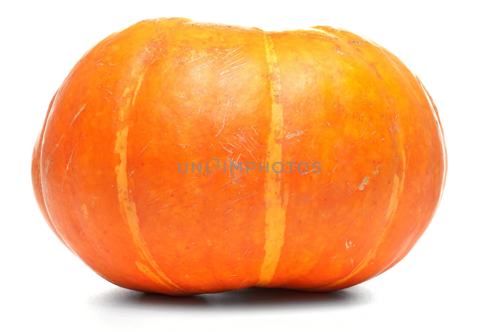 Single fresh pumpkin isolated on white background.