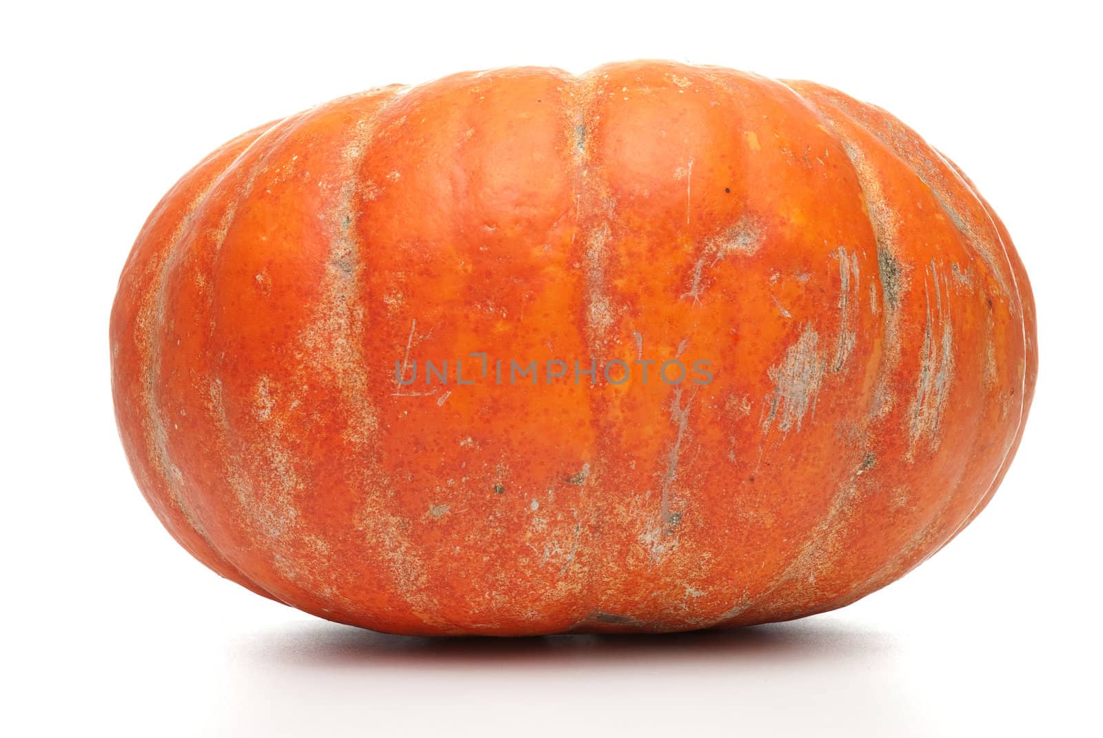 Ripe orange organic pumpkin Isolated on white background.
